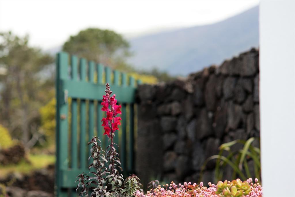 Casa Do Paim Villa Sao Roque do Pico Exterior photo