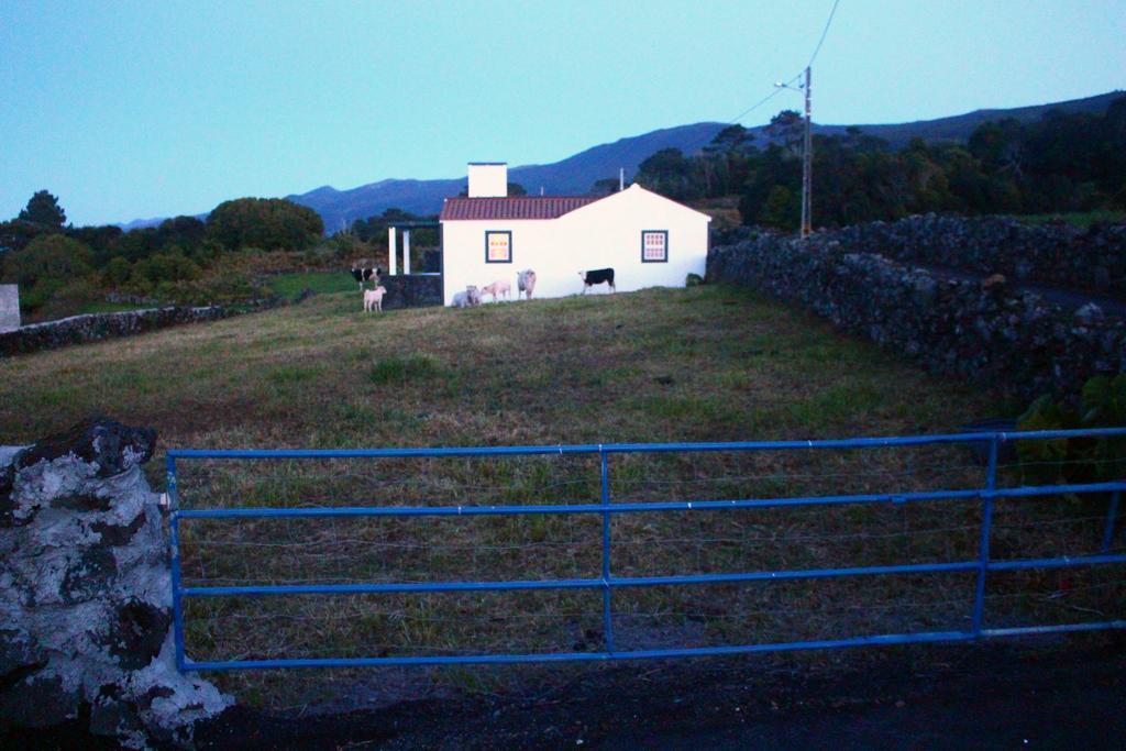 Casa Do Paim Villa Sao Roque do Pico Exterior photo