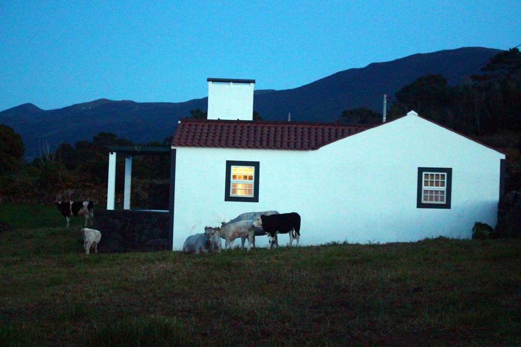 Casa Do Paim Villa Sao Roque do Pico Exterior photo